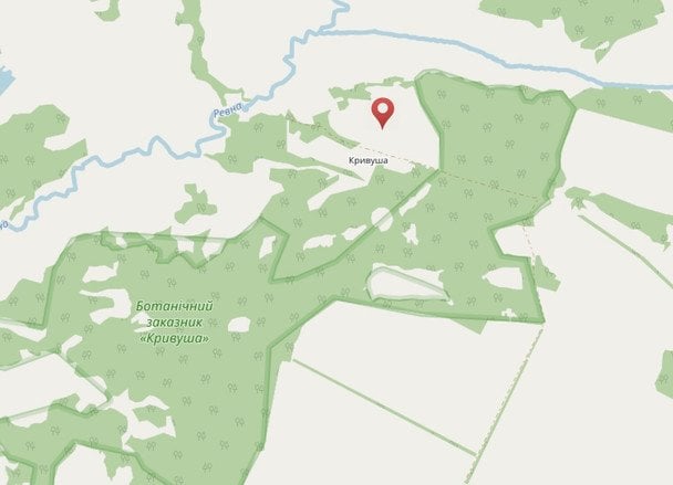 В Україні є село без мешканців, але з унікальними пам’ятками: де розташоване