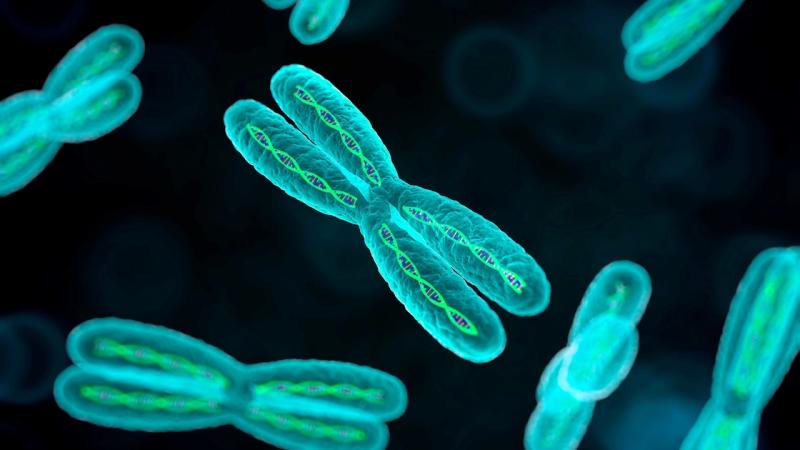 Trillion Gene Atlas: як Basecamp Research збирається «перетравити» генетику планети за два роки