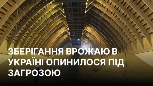 Посівні площі України під загрозою: як російські атаки паралізують аграрний сектор