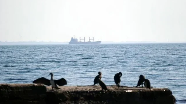 Блокада портів: як морські обмеження підривають експорт України щомісяця