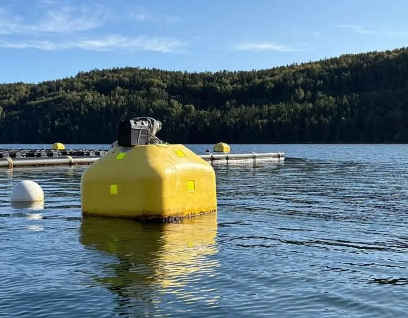 Морські буї для генерації електроенергії з хвиль
