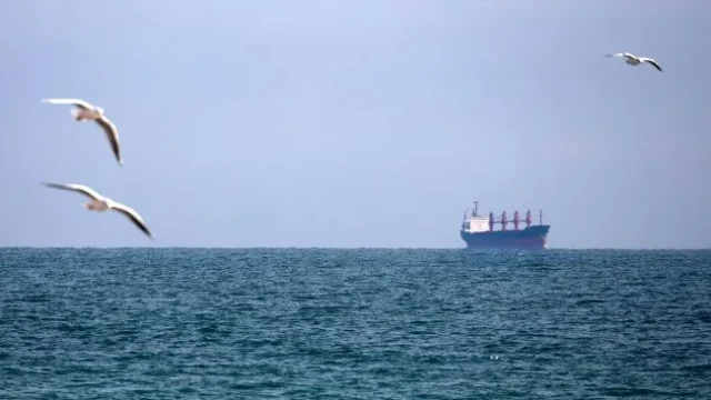 Російський безпілотник атакував танзанійське судно у Чорному морі: є жертва