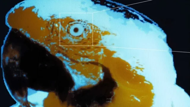 Швейцарські вчені розробили мініатюрні OLED-дисплеї для AR-окулярів за допомогою фотолітографії
