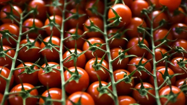 П’ять продуктів довголіття: що їдять сардинські centenarians