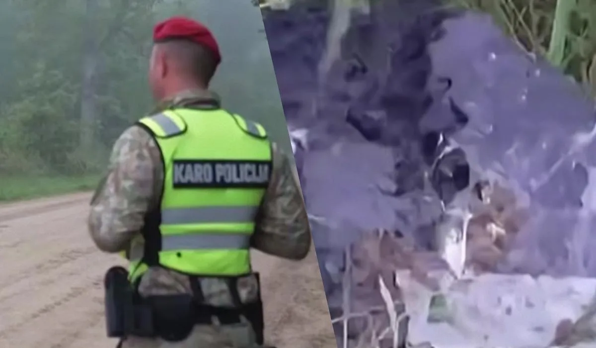 Винищувач НАТО перехоплює безпілотник у небі