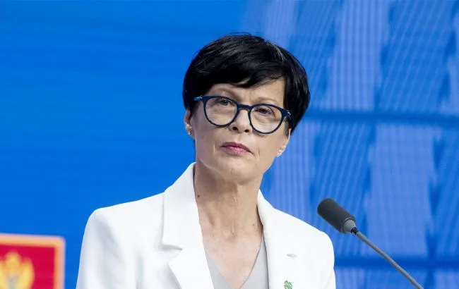 Величезні поля українського сільськогосподарства та врожаї